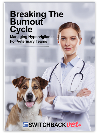 Breaking The Burnout Cycle report cover