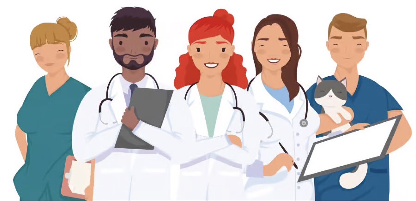 Illustrated veterinary team